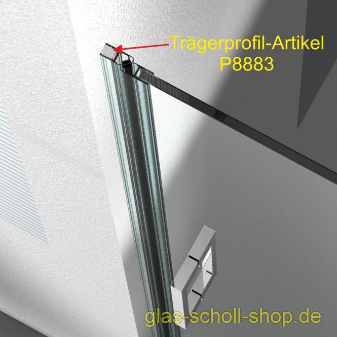 Trägerprofil 8x10 für 8mm Dichtprofile (2500 mm) Aluminium spezialgebeizt naturfarbig eloxiert
