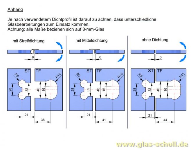 Flamea 180° Glas-Glas Pendel-Duschtürband Edelstahlfinish PVD