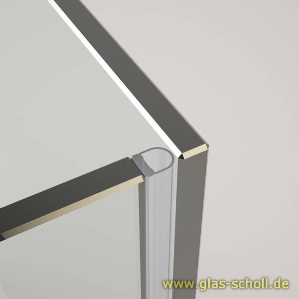 Glas Scholl Webshop, selbstklebende Streifdichtung (2500mm) für 8-12mm  Glas